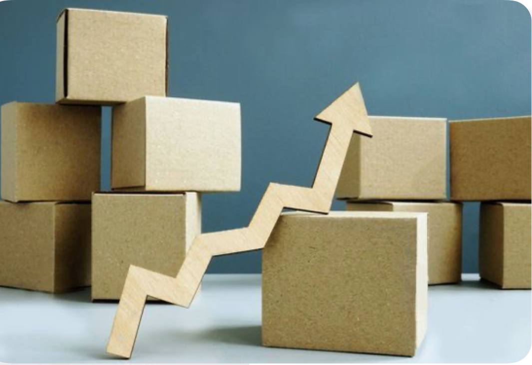 کارتن سازی کرج