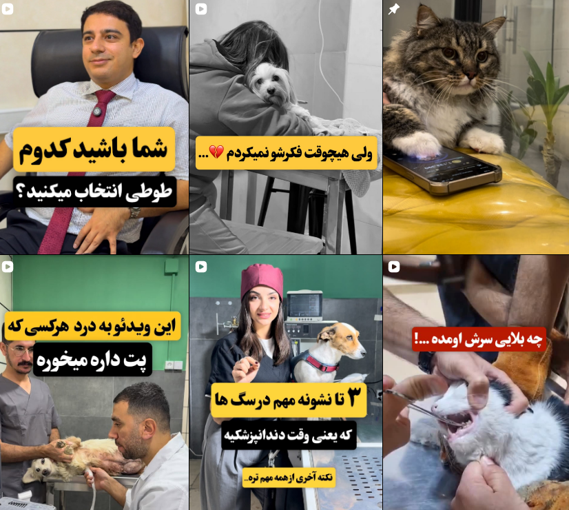 برترین دامپزشکی در عظیمیه