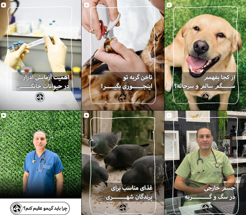 معرفی کلینیک دامپزشکی در کرج