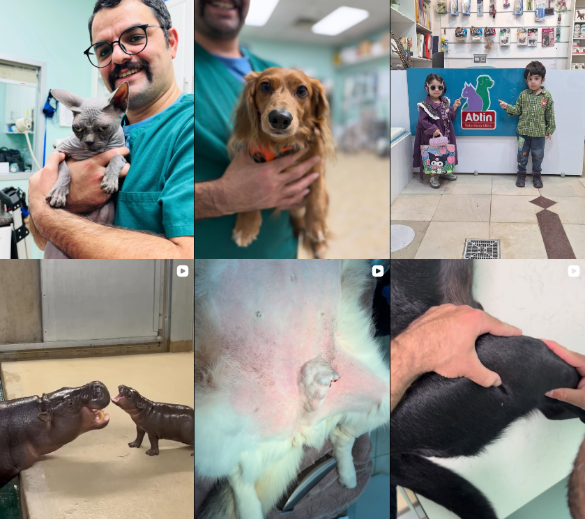 لیست دامپزشکی در کرج