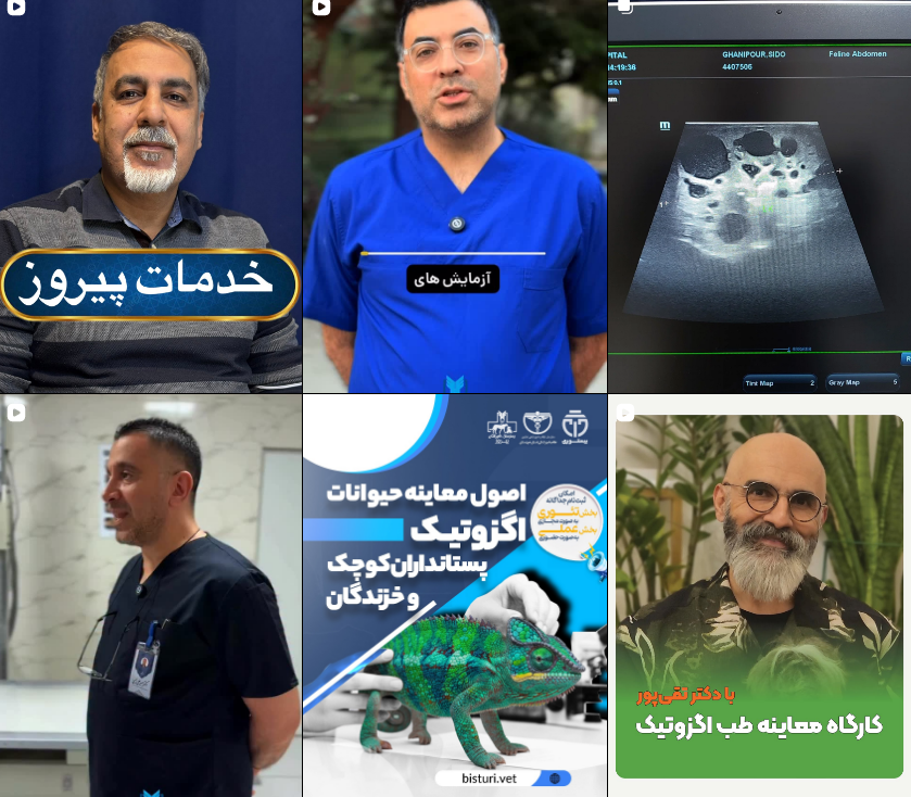 کلینیک دامپزشکی در کرج