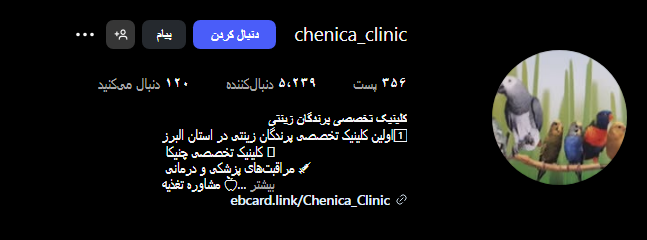 کلینیک دامپزشکی چنیکا