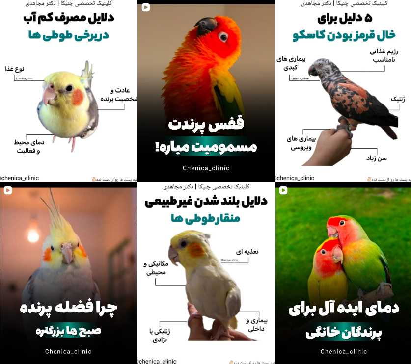 معرفی دامپزشکی در کرج