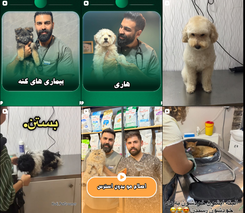 مرفی دامپزشکی در عظیمیه