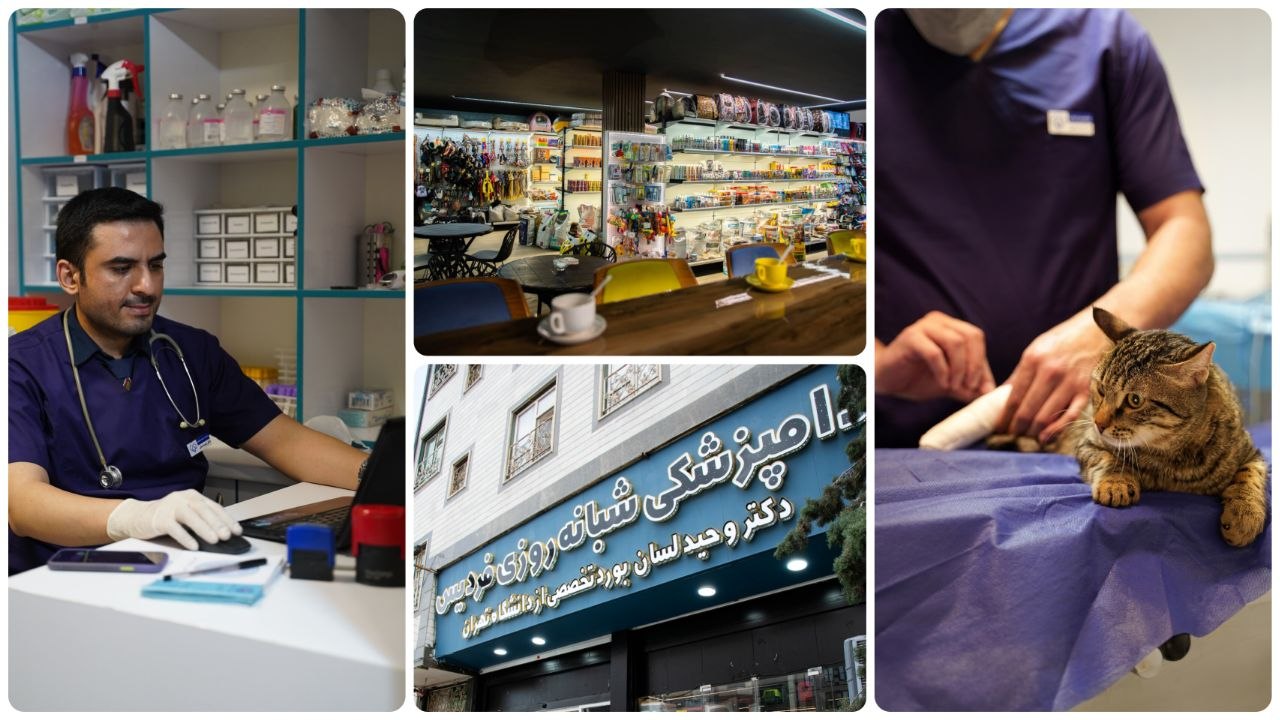 بهترین بیمارستان دامپزشکی در کرج