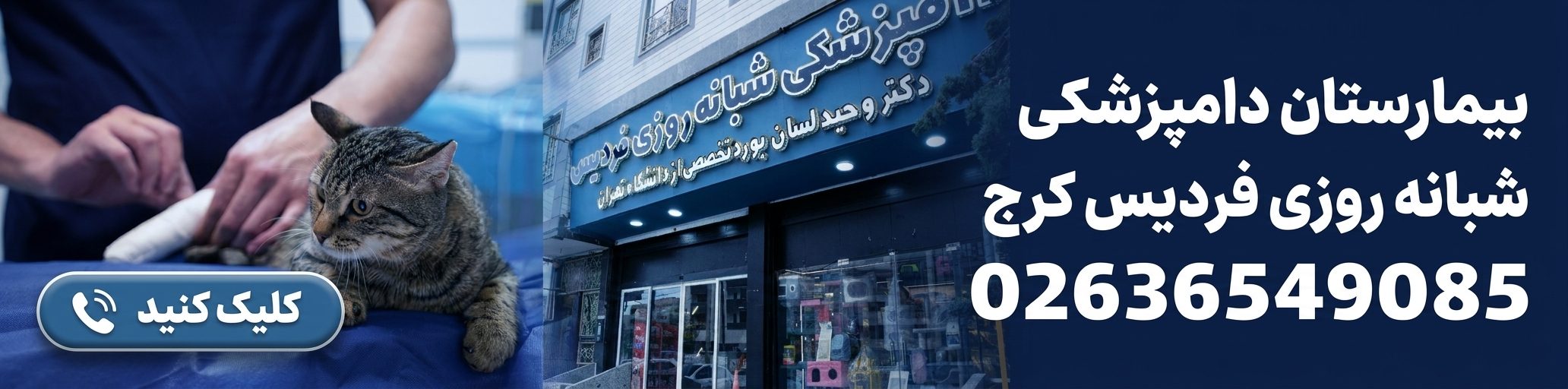 بیمارستان دامپزشکی فردیس