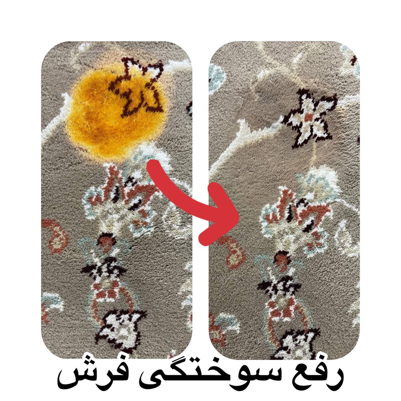 قالیشویی در کرج