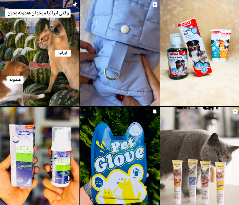 معرفی پت شاپ کرج