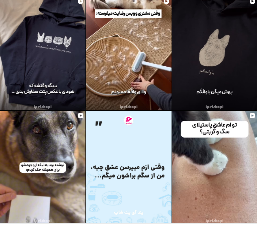 برترین پت شاپ کرج