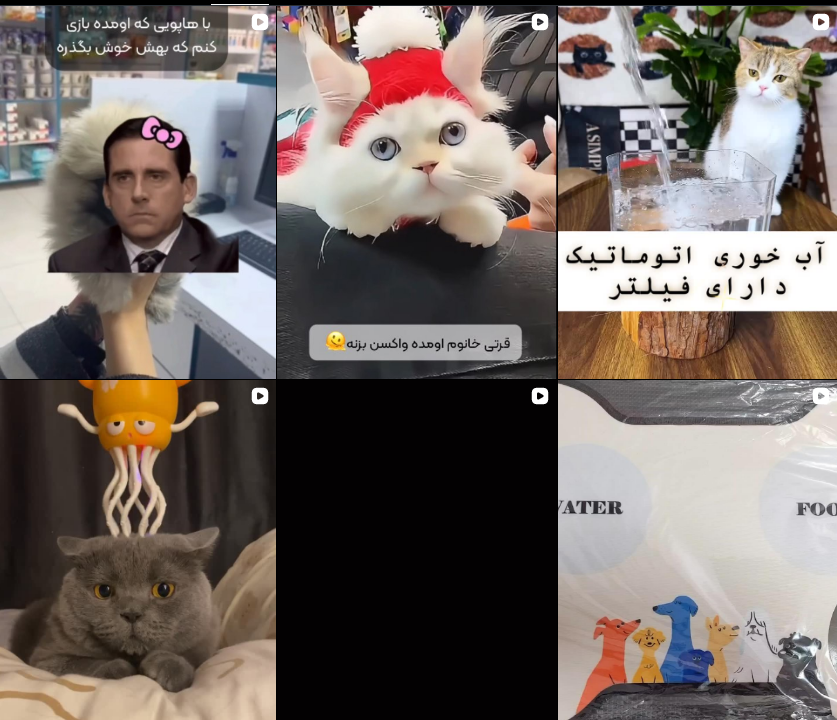 معرفی برترین پت شاپ کرج