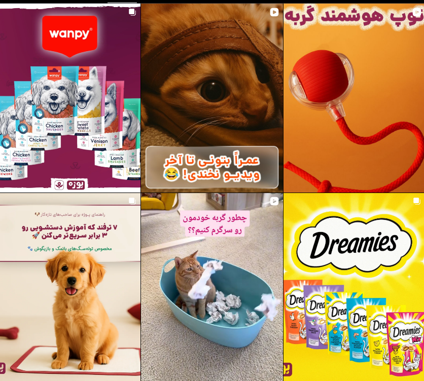 معرفی پت شاپ در کرج