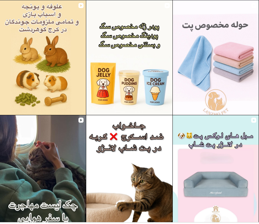 برترین پت شاپ در کرج