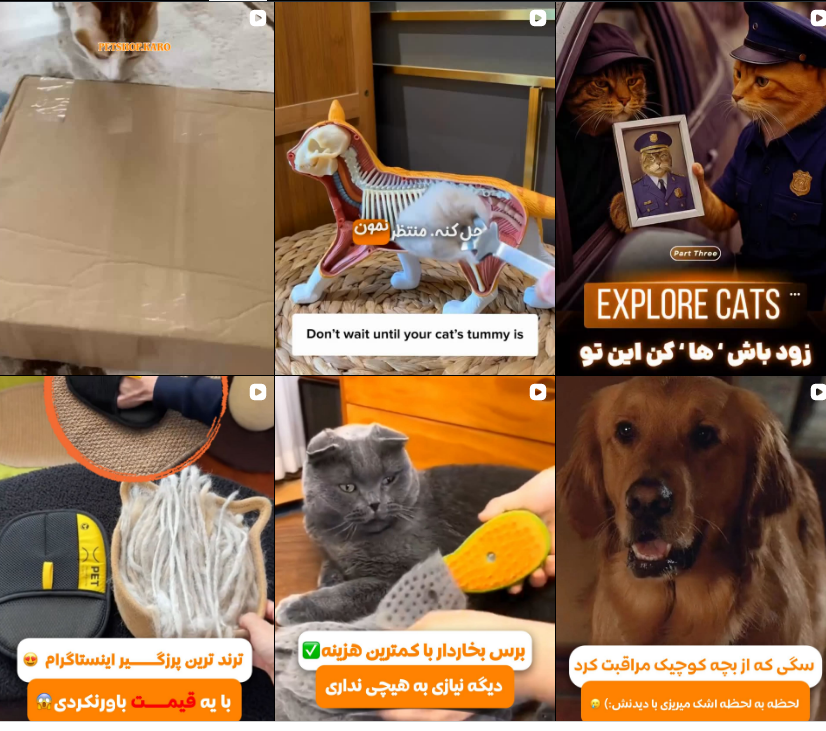 لیست پت شاپ در کرج