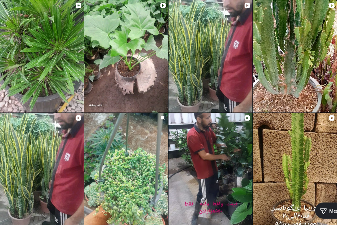 لیست برترین گلخانه در کرج