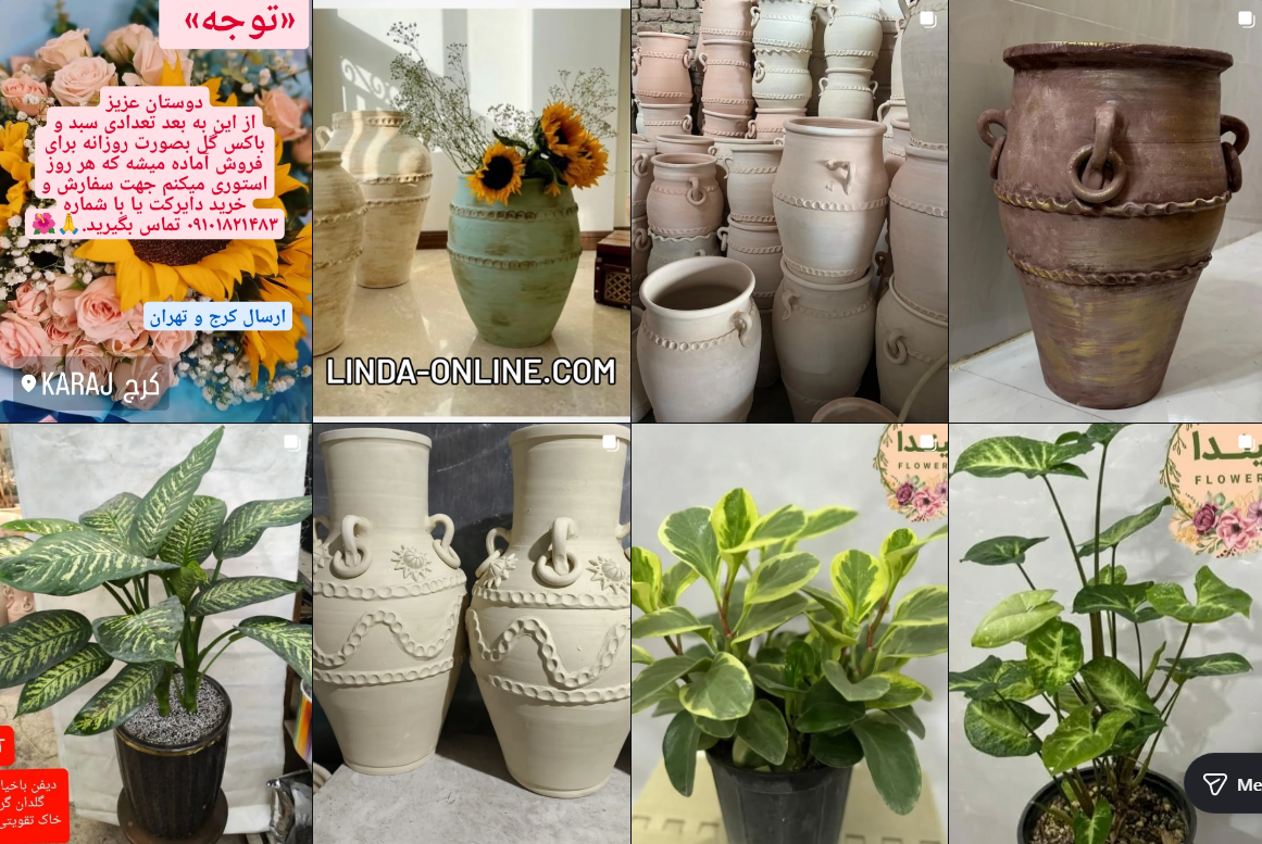 بهترین گلخانه در کرج