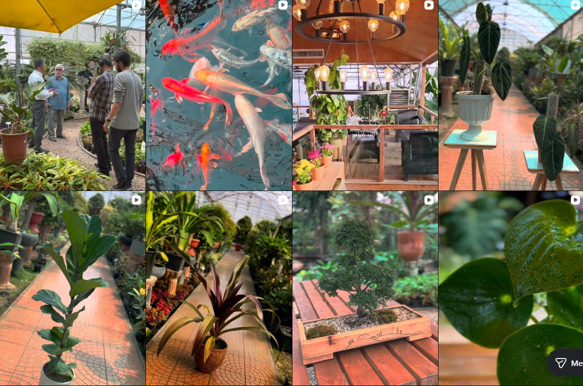 معرفی گلخانه در کرج