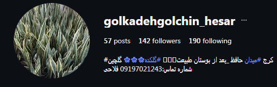 گلکده گلچین