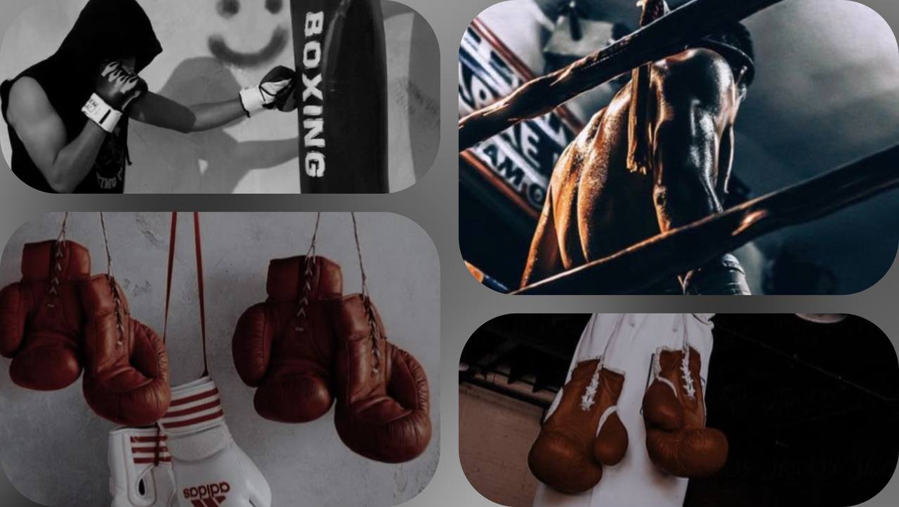 باشگاه بوکس در کرج