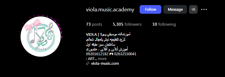 آموزشگاه موسیقی ویولا در کرج