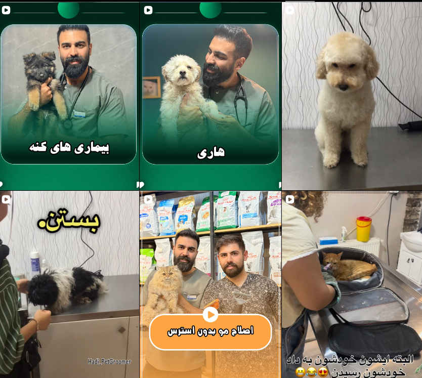 بهترین کلینیک دامپزشکی عظیمیه