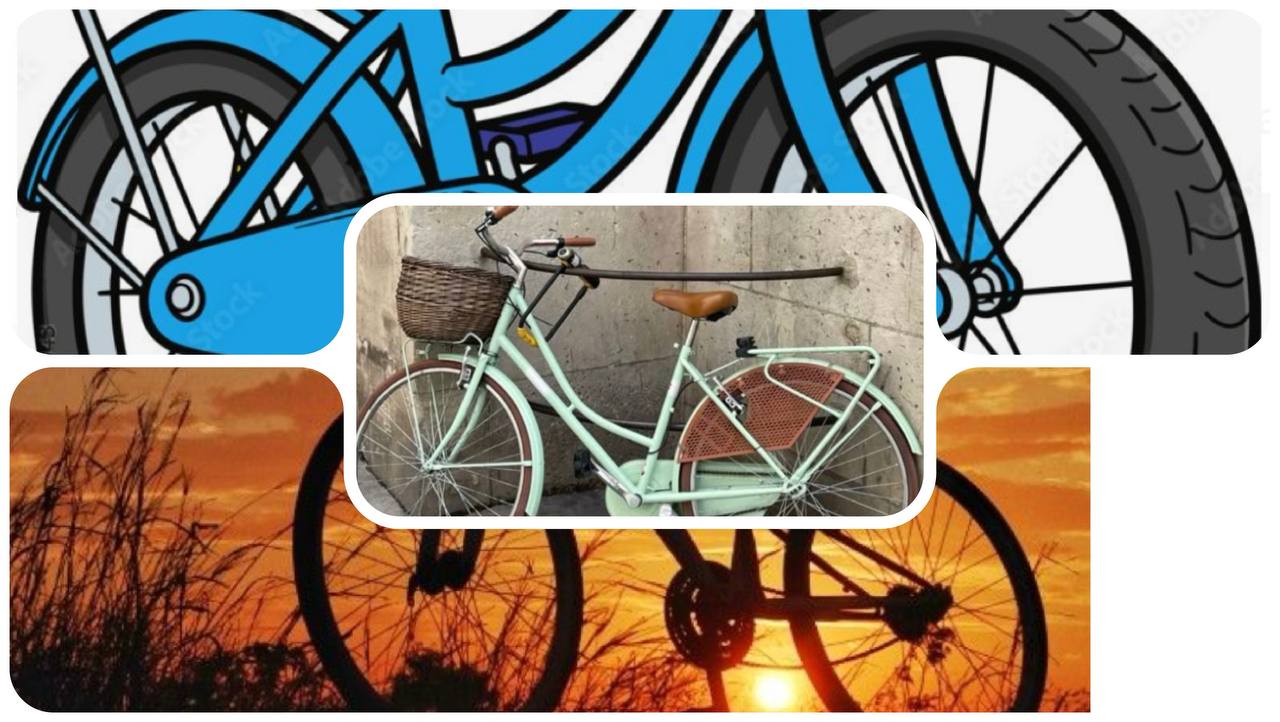 فروشگاه دوچرخه در کرج