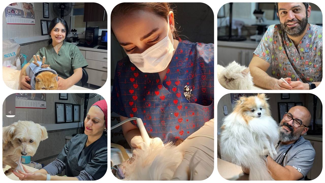 کلینیک دامپزشکی در عظیمیه