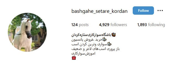 باشگاه ستاره کردان