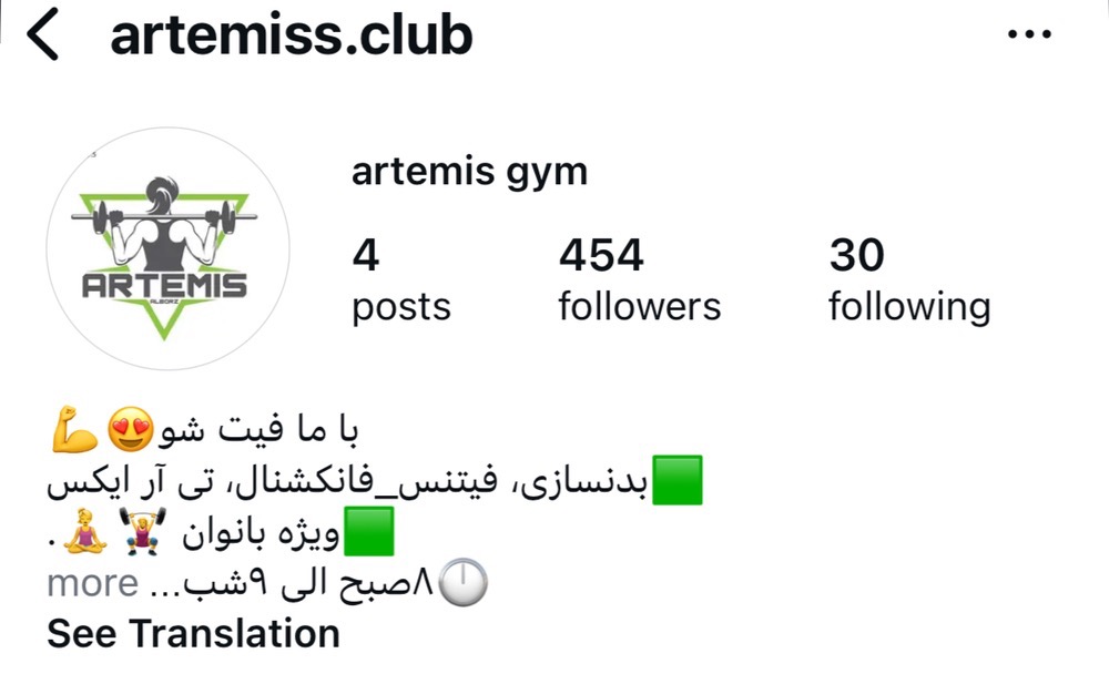 باشگاه آرتمیس