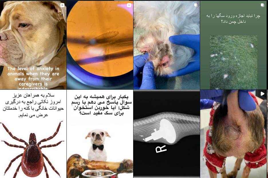 لیست کلینیک دامپزشکی در گوهردشت