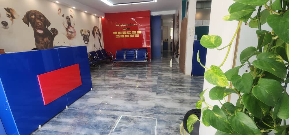انتخاب بیمارستان دامپزشکی شبانه روزی در عظیمیه