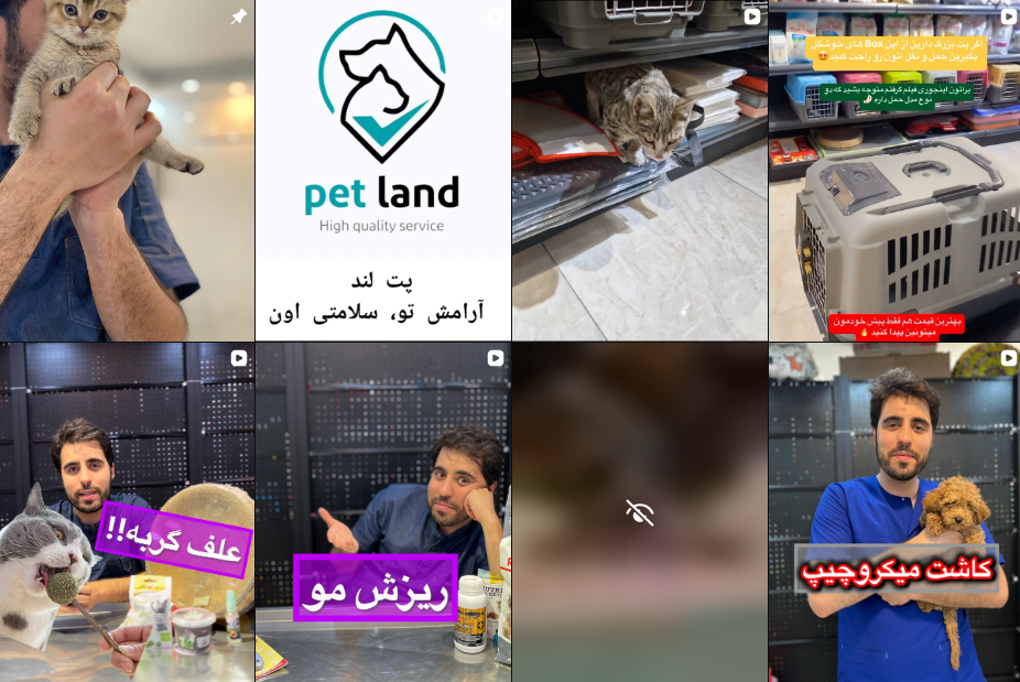 بهترین دامپزشکی شهر قدس