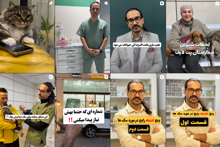 دامپزشکی شبانه روزی در کرج
