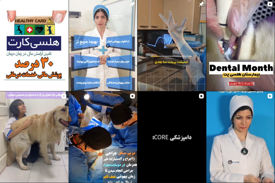 بهترین دامپزشکی شبانه روزی در کرج