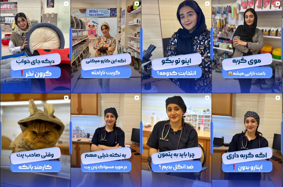 دامپزشکی در شهر قدس