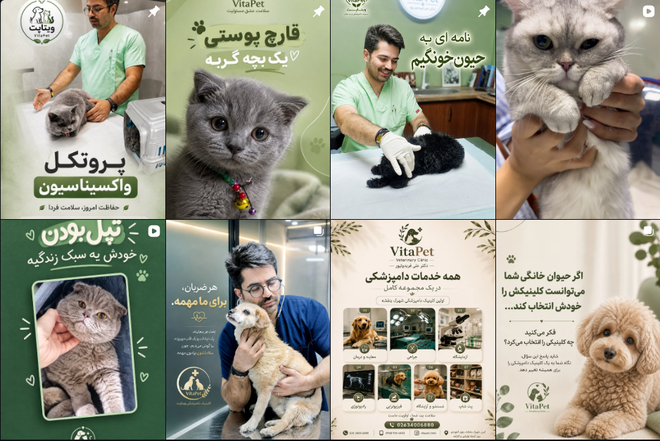 برترین کلینیک دامپزشکی در شهرک بنفشه